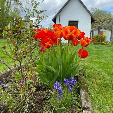 Tiny Haus Mit Wunderbarem Garten Лауинген